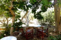 sunrise apartments the garden double room apartment