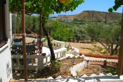 sunrise apartments view on the garden