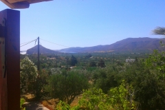 sunrise apartments view